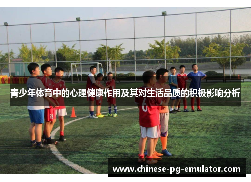 青少年体育中的心理健康作用及其对生活品质的积极影响分析