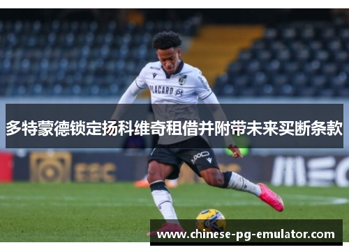 多特蒙德锁定扬科维奇租借并附带未来买断条款