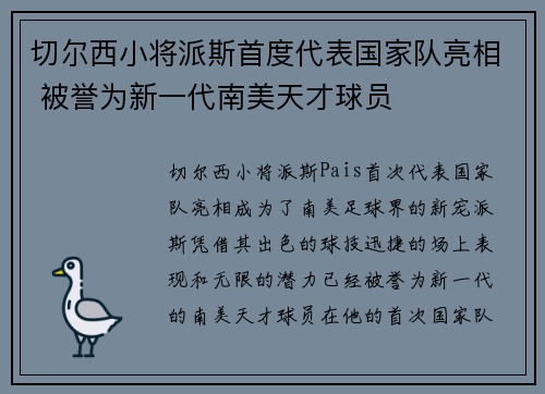 切尔西小将派斯首度代表国家队亮相 被誉为新一代南美天才球员